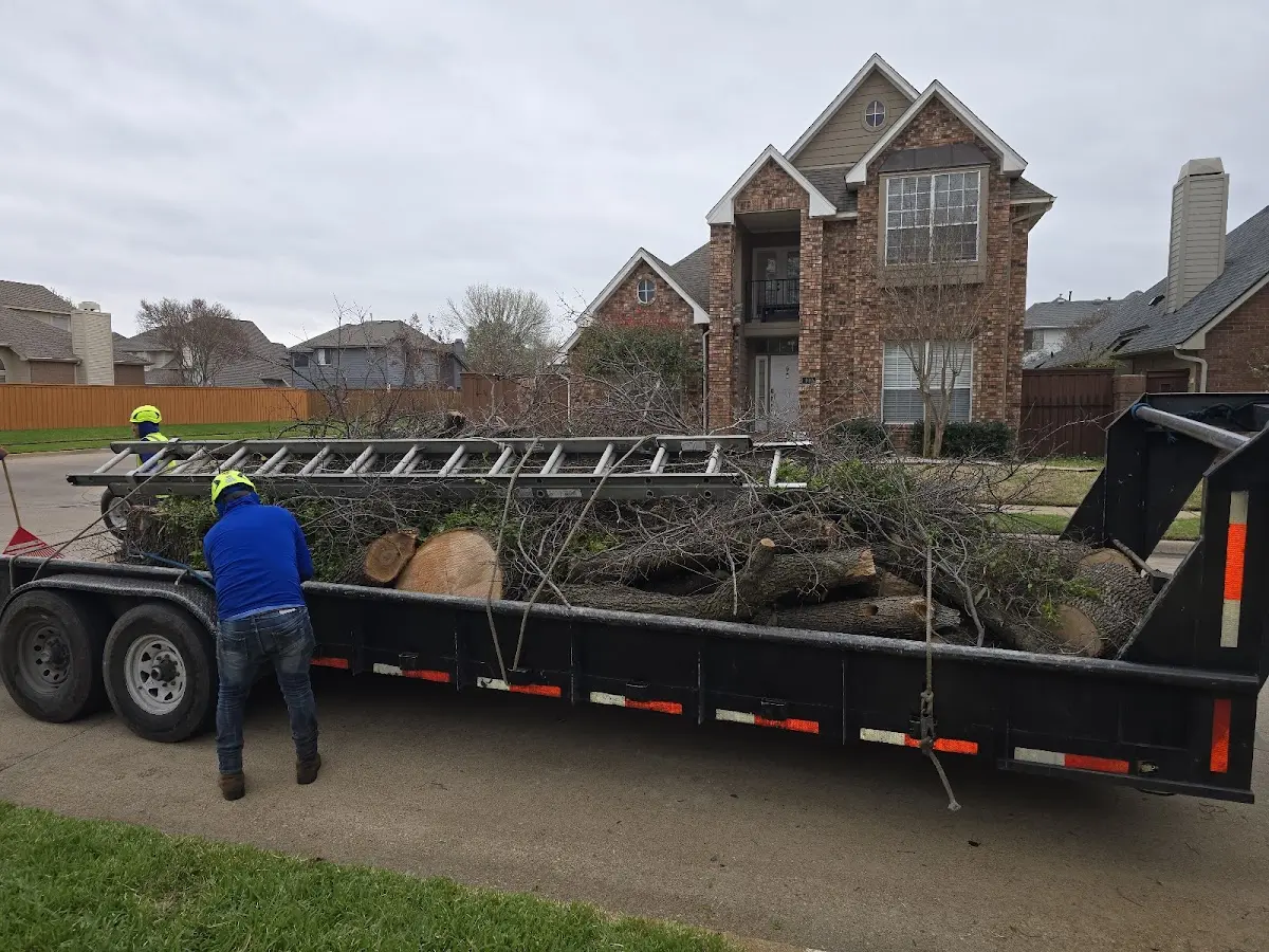 Expert Tree Fertilization with proper safety equipment in Hannacroix